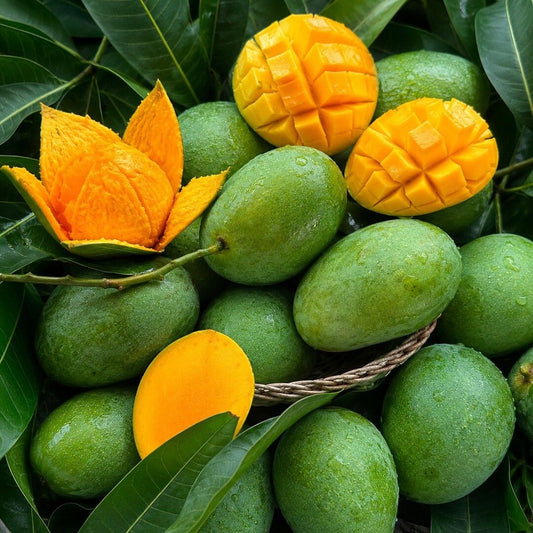 himsagar mango