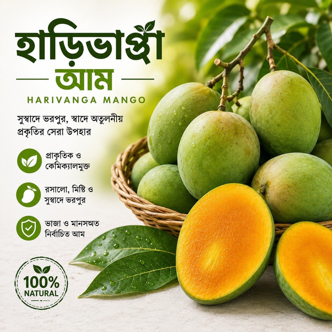 রংপুরের বিখ্যাত হাড়িভাংগা আম